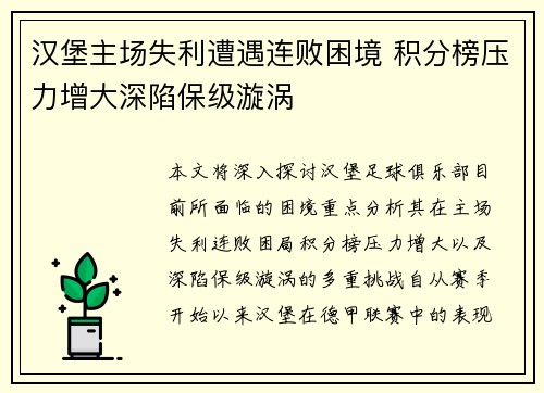 汉堡主场失利遭遇连败困境 积分榜压力增大深陷保级漩涡