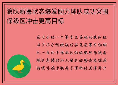 狼队新援状态爆发助力球队成功突围保级区冲击更高目标